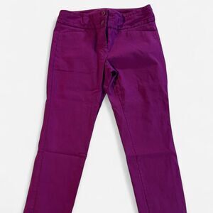 The Limited Women's Purple and Pink Trousers